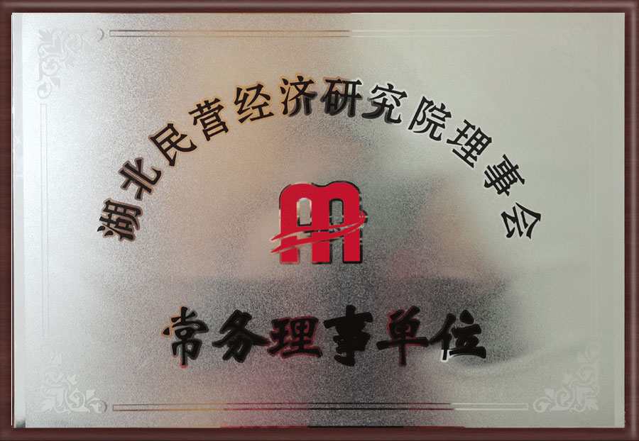 常務(wù)理事單位